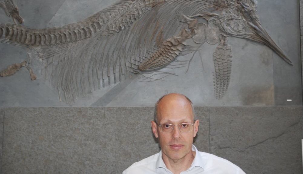 Fossilien-Experte Fossilien_Experte