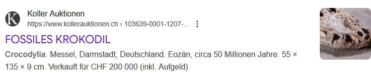 MesselFossil_Koller_01